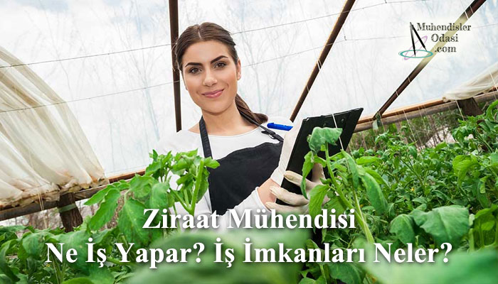 ziraat mühendisi ne iş yapar iş imkanları neler